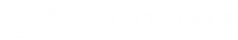 Summit Wealth Logo White